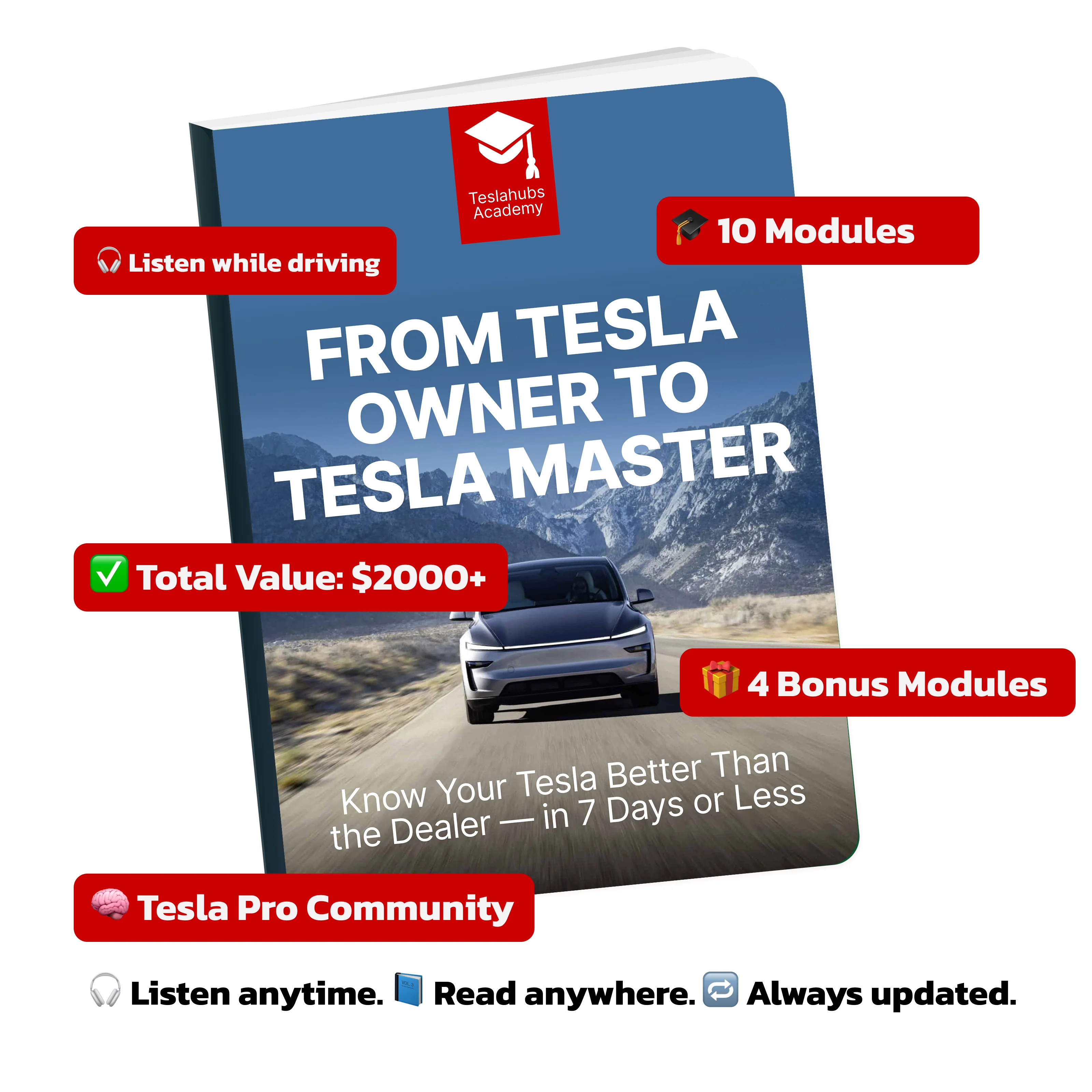 FROM TESLA OWNER TO TESLA MASTER
